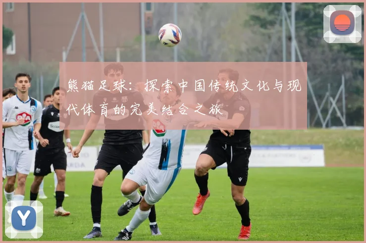 熊猫足球：探索中国传统文化与现代体育的完美结合之旅