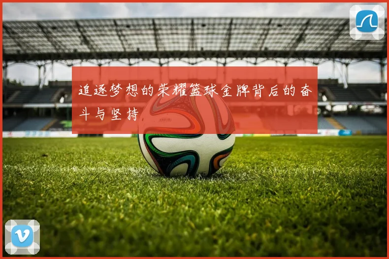 追逐梦想的荣耀篮球金牌背后的奋斗与坚持