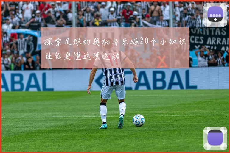 探索足球的奥秘与乐趣20个小知识让你更懂这项运动