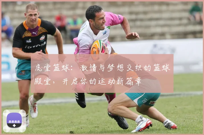 虎堂篮球：激情与梦想交织的篮球殿堂，开启你的运动新篇章