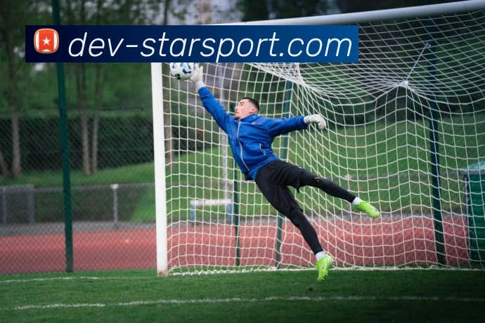 星空体育APP 封面图